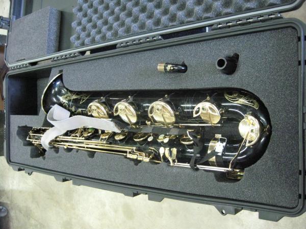 Saxophone Case