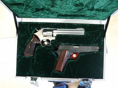 Dual Handgun Case