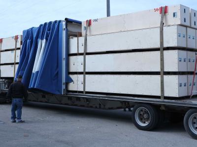Transport Consulting