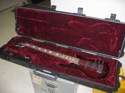 Guitar Case